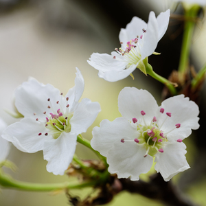 8090午夜福利视频在线观看
